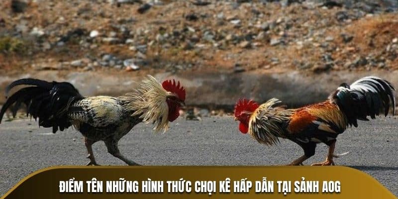 Hình thức chơi aog đá gà 33win