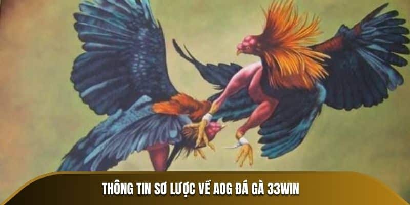 sơ lược aog đá gà 33win