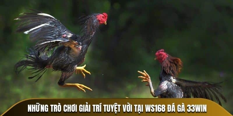 trò chơi tại WS168 đá gà 33Win