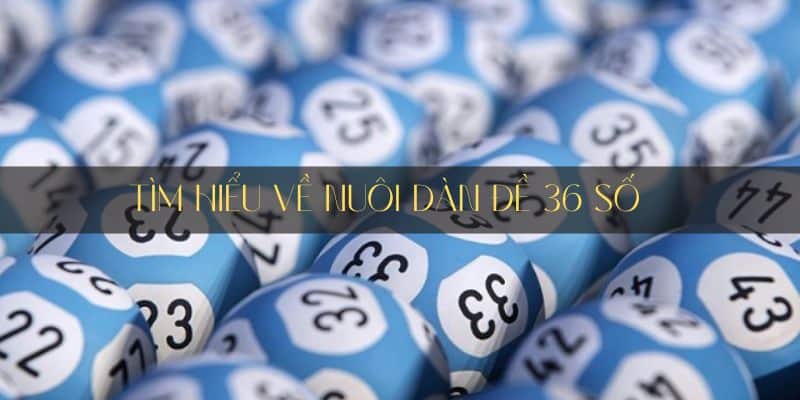 nuôi dàn đề 36 số 33win là gì