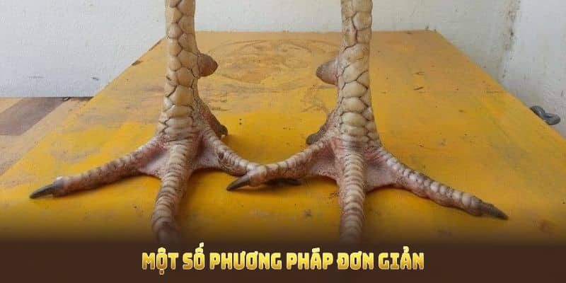 Phương pháp nhận biết vảy gà Huyền Trâm 33win